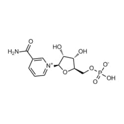 Medchemexpress LLC HY-F0004 50mg , β-Nicotinamide mononucleotide CAS:1094-61-7