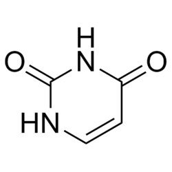 Medchemexpress LLC HY-I0960 1g Medchemexpress, Uracil CAS:66-22-8 Purity:>98%,
