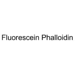 Medchemexpress LLC HY-K0902 300T Medchemexpress, Fluorescein Phalloidin