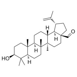 Medchemexpress LLC HY-N0084 10mg Medchemexpress, Betulinaldehyde CAS:13159-28-9