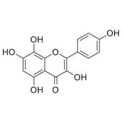 Medchemexpress LLC HY-N0240 5mg Medchemexpress, Herbacetin CAS:527-95-7
