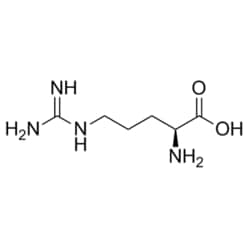Medchemexpress LLC&nbsp;HY-N0455 1g Medchemexpress, L-Arginine CAS:74-79-3 Purity:>98%