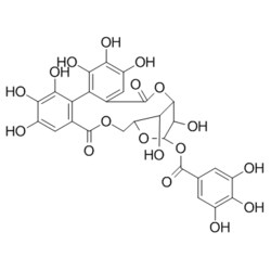 Medchemexpress LLC HY-N0462 5mg Medchemexpress, Corilagin CAS:23094-69-1