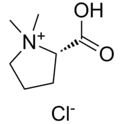 Medchemexpress LLC HY-N0738 100mg Medchemexpress, Stachydrine hydrochloride