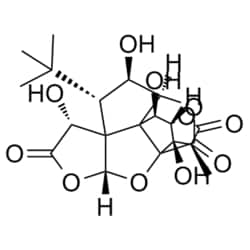Medchemexpress LLC&nbsp;HY-N0785 10mg Medchemexpress, Ginkgolide C CAS:15291-76-6 Purity:>98%