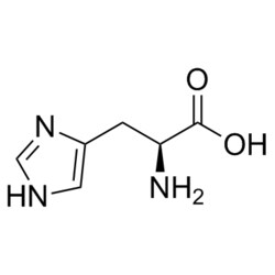 Medchemexpress LLC HY-N0832 1g Medchemexpress, L-Hisidine CAS:71-00-1 Purity:>98%,