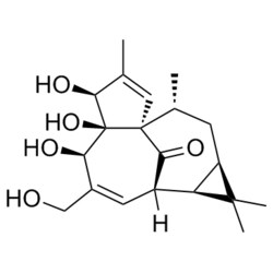 Medchemexpress LLC HY-N0865 5mg Medchemexpress, Ingenol CAS:30220-46-3