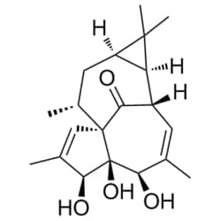 Medchemexpress LLC HY-N0866 5mg Medchemexpress, 20-Deoxyingenol CAS:54706-99-9 Purity:>98%