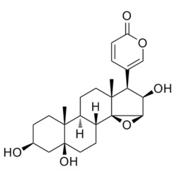 Medchemexpress LLC HY-N0882 5mg Medchemexpress, Desacetylcinobufotalin CAS:4099-30-3 Purity:>98%