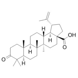 Medchemexpress LLC HY-N1451 5mg Medchemexpress, Betulonic acid CAS:4481-62-3 Purity:>98%