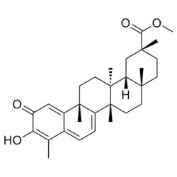 Medchemexpress LLC HY-N1937 10mg Medchemexpress, Pristimerin CAS:1258-84-0