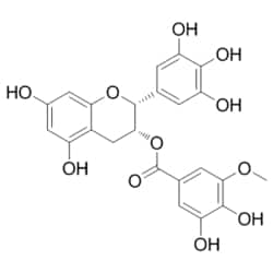Medchemexpress LLC HY-N2228 1mg Medchemexpress, (-)-Epigallocatechin-3-(3''-O-methyl)