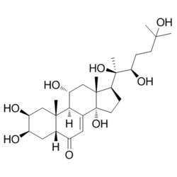 Medchemexpress LLC HY-N2548 5mg Medchemexpress, Turkesterone CAS:41451-87-0