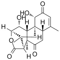 Medchemexpress LLC HY-N4327 1mg Medchemexpress, Eurycomalactone CAS:23062-24-0