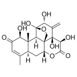 Medchemexpress LLC HY-N5012 10mg Medchemexpress, Eurycomanone CAS:84633-29-4