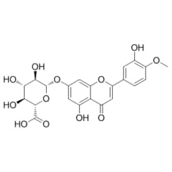 Medchemexpress LLC HY-N6879 5mg Medchemexpress, DiosMetin 7-O-β-D-Glucuronide