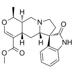 Medchemexpress LLC HY-N6946 5mg Medchemexpress, Mitraphylline CAS:509-80-8
