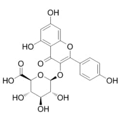 Medchemexpress LLC HY-N7176 1mg Medchemexpress, Kaempferol 3-O-β-D-glucuronide