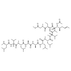 Medchemexpress LLC HY-P1355A 1mg Medchemexpress, Cyclosporin A-Derivative