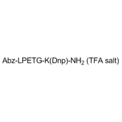 Medchemexpress LLC HY-P1883A 1mg Medchemexpress, Bacterial Sortase Substrate