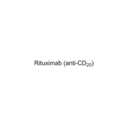 Medchemexpress LLC HY-P9913A 5mg , Rituximab (anti-CD20) CAS:174722-31-7