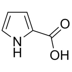 Medchemexpress LLC HY-W001963 1g Medchemexpress, Pyrrole-2-carboxylic acid