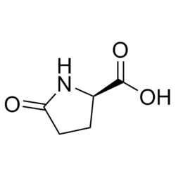 Medchemexpress LLC&nbsp;HY-W002304 100mg Medchemexpress, (R)-5-Oxopyrrolidine-2-carboxylic acid CAS:4042-36-8 Purity:>98%