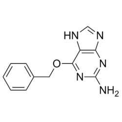 Medchemexpress LLC HY-W002585 50mg Medchemexpress, O6-Benzylguanine CAS:19916-73-5