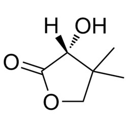 Medchemexpress LLC HY-W010396 500mg Medchemexpress, (R)-3-Hydroxy-4,4-dimethyldihydrofuran-2(3H)-one
