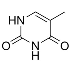 Medchemexpress LLC HY-W010450 1g Medchemexpress, Thymine CAS:65-71-4 Purity:>98%,