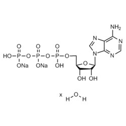 Medchemexpress LLC HY-W010735 1g , ATP (disodium salt hydrate) CAS:34369-07-8
