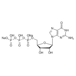 Medchemexpress LLC HY-W010737 250mg , Guanosine-5'-triphosphate (disodium