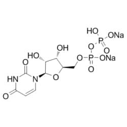 Medchemexpress LLC HY-W010832 100mg Medchemexpress, Uridine-5'-diphosphate