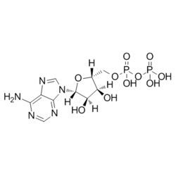 Medchemexpress LLC HY-W010918 100mg Medchemexpress, Adenosine 5'-diphosphate CAS:58-64-0 Purity:>98%