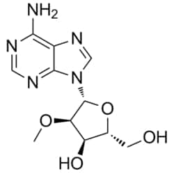 Medchemexpress LLC&nbsp;HY-W011552 10mg Medchemexpress, 2'-O-Methyladenosine CAS:2140-79-6 Purity:>98%