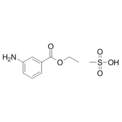 Medchemexpress LLC HY-W011777 500mg Medchemexpress, Tricaine (methanesulfonate)