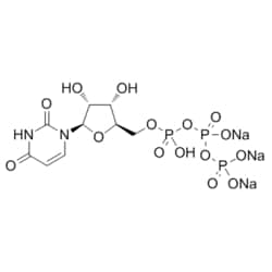 Medchemexpress LLC HY-W013093 100mg Medchemexpress, Uridine triphosphate