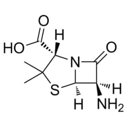 Medchemexpress LLC HY-W013549 500mg Medchemexpress, 6-Aminopenicillanic