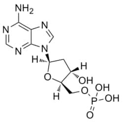 Medchemexpress LLC&nbsp;HY-W016009 100mg Medchemexpress, 2'-Deoxyadenosine-5'-monophosphate CAS:653-63-4 Purity:>98%