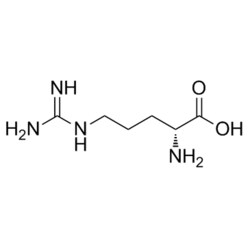 Medchemexpress LLC HY-W016781 500mg Medchemexpress, D-Arginine CAS:157-06-2