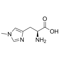 Medchemexpress LLC HY-W017006 10mg Medchemexpress, 1-Methyl-L-histidine