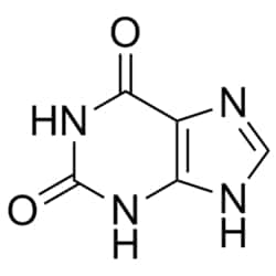 Medchemexpress LLC HY-W017389 1g Medchemexpress, Xanthine CAS:69-89-6 Purity:>98%,