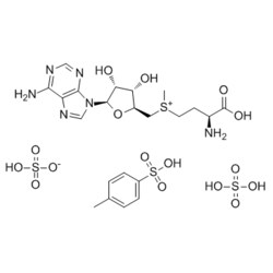 Medchemexpress LLC HY-W017770 50mg Medchemexpress, Ademetionine (disulfate
