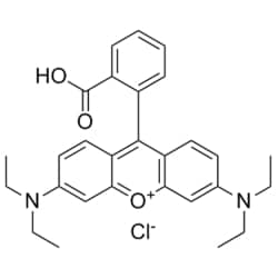 Medchemexpress LLC HY-Y0016 100mg Medchemexpress, Rhodamine B CAS:81-88-9 Purity:>98%