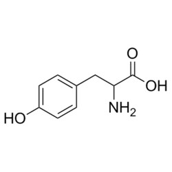 Medchemexpress LLC&nbsp;HY-Y0123 500mg Medchemexpress, DL-Tyrosine CAS:556-03-6 Purity:>98%