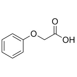 Medchemexpress LLC HY-Y0267 500mg Medchemexpress, Phenoxyacetic acid CAS:122-59-8