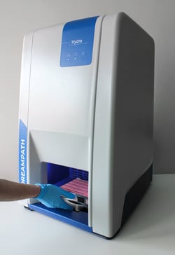 Dreampath&nbsp;HYDRA Software with Installation