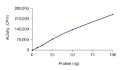 Sino Biological&nbsp;Recombinant Human IGF1R Protein (His Tag), Active