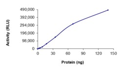 Sino Biological&nbsp;Recombinant Human IKK beta Protein (GST Tag), Active
