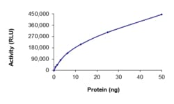 Sino Biological&nbsp;Recombinant Human IRAK4 Protein (Full Length, GST Tag), Active